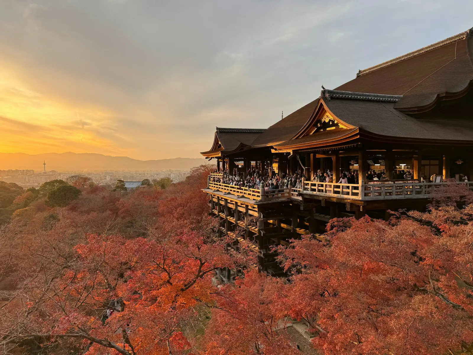 A pagoda on a hillside in Kyoto, above trees turning red and gold